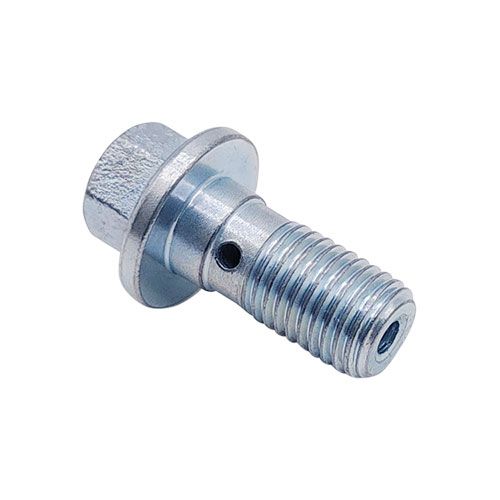 <p>Banjo bolt  |  M10 x 1.25  | 11mm hex</p>